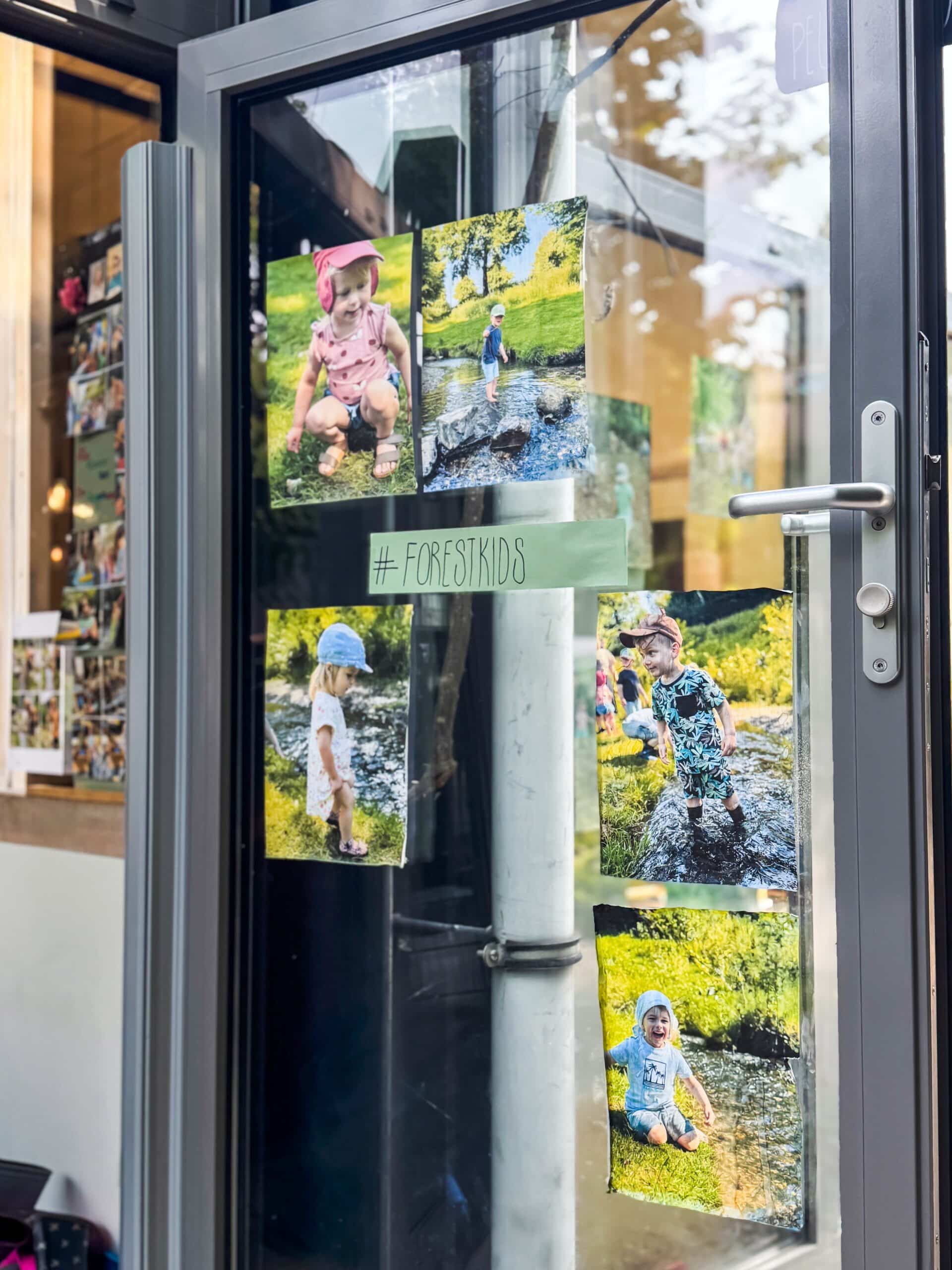 Forest Kids peuters ontdekken de beek