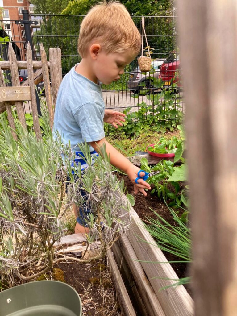 koken met kinderen — verse oogst uit de moestuin van Best 4 Kids Binnenstad