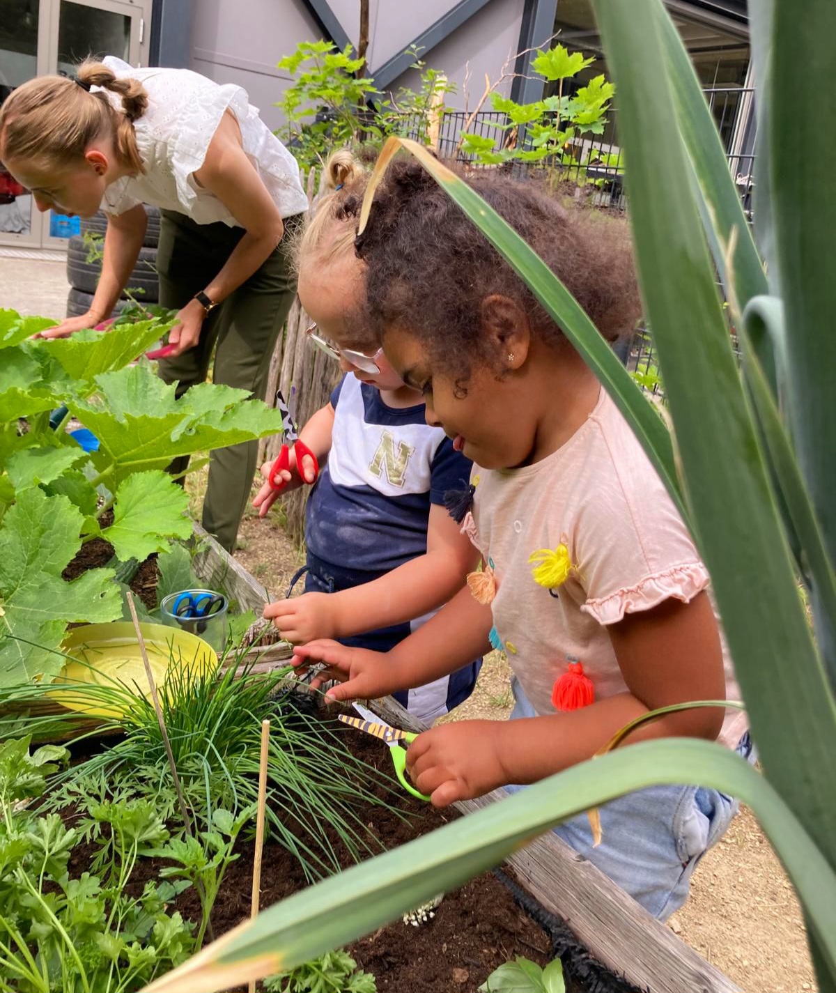 Featured image for “Koken met kinderen: 5 verrassende én slimme moestuinlessen”