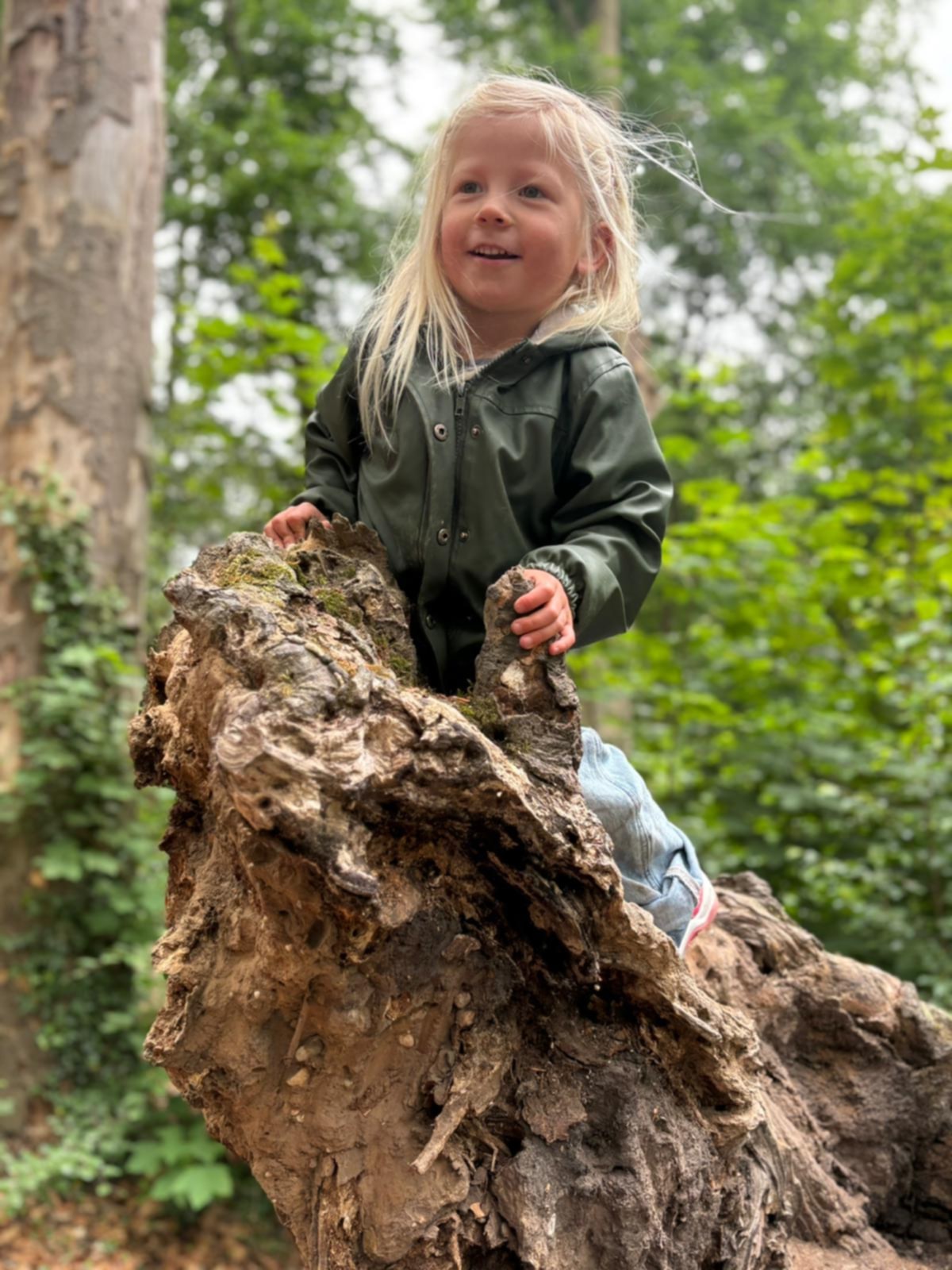 Peuter klimt vol zelfvertrouwen op een boomstam tijdens Forest Kids
