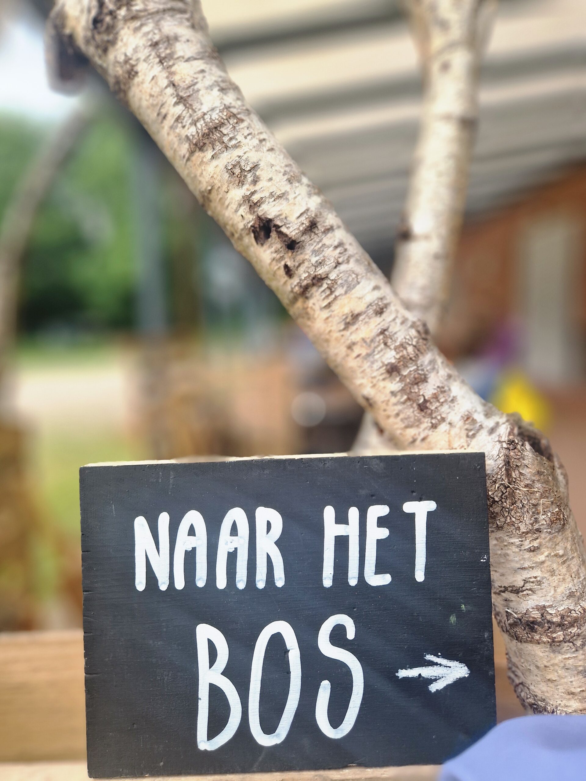 Naar het bos-bordje bij het geheime poortje